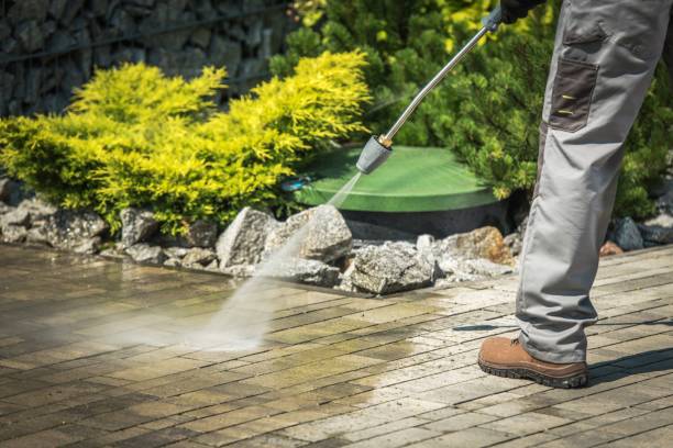 Best Winterizing Services  in Rio Linda, CA